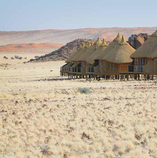 a NAMIBIA h NAMIB DESERT 45 Na mib Desert Il Deserto del Namib occupa la parte costiera della Namibia occidentale, affacciata sull Oceano Atlantico.