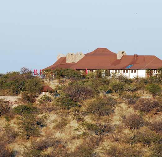 80 s s s d Kavita Lion Lodge Sistemazione ideale per immergersi nello scenario no a contatto con le popolazioni Himba.