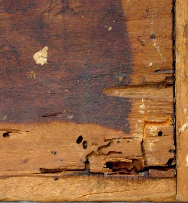 Le gallerie, infatti, interessano quasi tutto lo spessore del legno (figg. 12 e 13). Fortunatamente la zona interessata dall attacco è molto limitata.