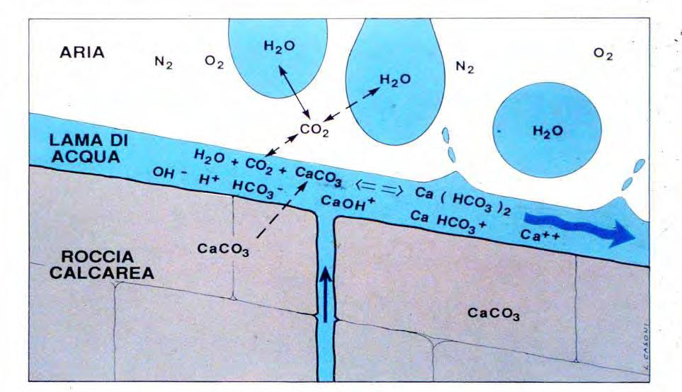 In realtà la soluzione acquosa è di tipo ionico dato che le varie sostanze