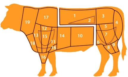 QUARTO ANTERIORE 1. Lombata 7. Fesa Interna 13. Fusello di spalla 2. Filetto 8. Pesce 14. Biancostato 3. Scamone 9. Geretto posteriore 15. Sottospalla 4. Girello 10. Pancia 16. Geretto anteriore 5.