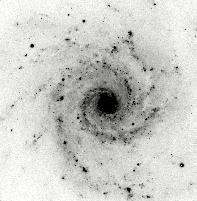 NGC 1302