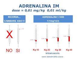 ADRENALINA 0.01 mg / kg = 10 mcg / kg im/ev + 9 ml SF (1 : 10.000) = 0.