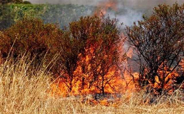 8.3.a)SOSTEGNO PER PREVENZIONE DELLE FORESTE DANNEGGIATE DA INCENDI, CALAMITÀ NATURALI ED EVENTI CATASTROFICI Costi