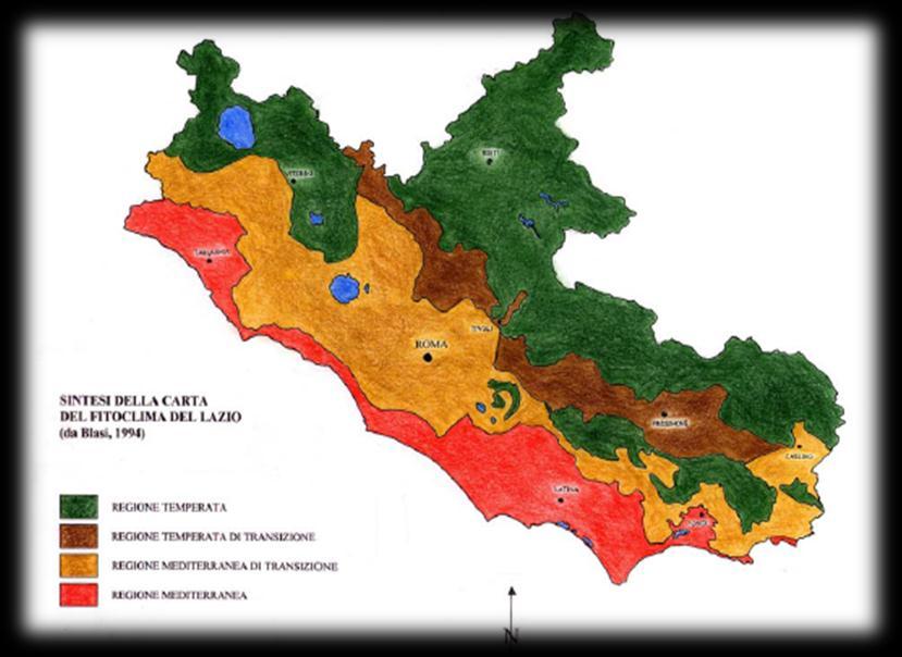 Fonte: sintesi De Blasi 1994 Uno studio sul FITOCLIMA del Lazio (Blasi, 1994) ha esaminato i rapporti tra il clima e la vegetazione individuando 15 unità fitoclimatiche, appartenenti a quattro