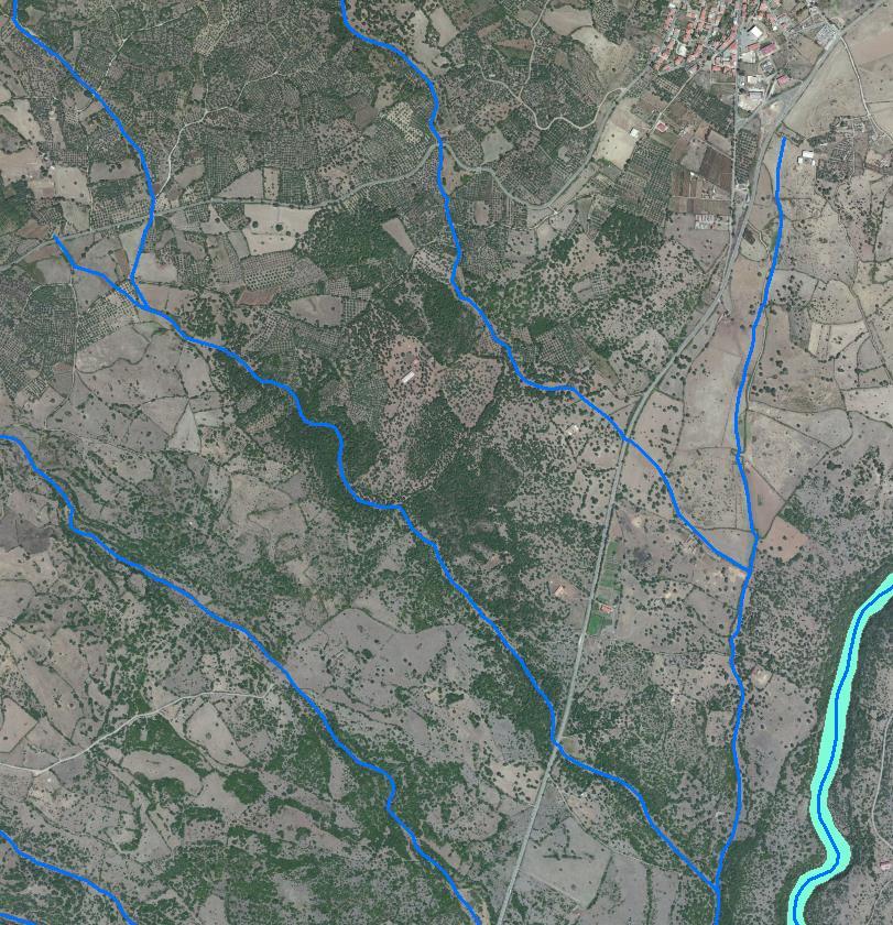 RIU FUNTANA CANNAS (bacino 1a) Tipico rio collinare, scorre in direzione nord sud sud-est nella parte occidentale del confine comunale prima di confluire nel rio Mannu senza determinare particolari