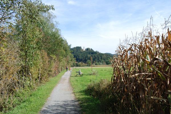 Bevande e tutti gli extra in genere Pranzi Cena (se non è stata prenotata la mezza pensione) Ingressi non indicati Noleggio delle biciclette Altre Assicurazioni Tutto quanto non espressamente