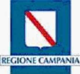 Commissario Straordinario Delegato Regione Campania D.P.C.M. 21.01.2011 Intervento n.10 della deliberazione CIPE n.