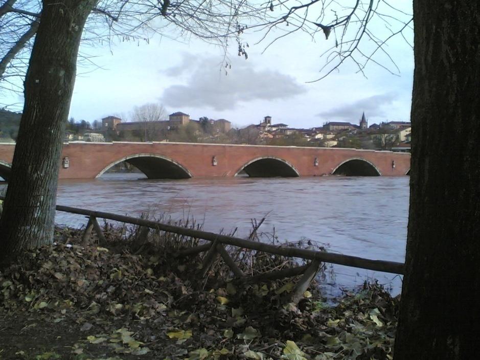 messe in campo sul territorio del bacino del fiume Po.