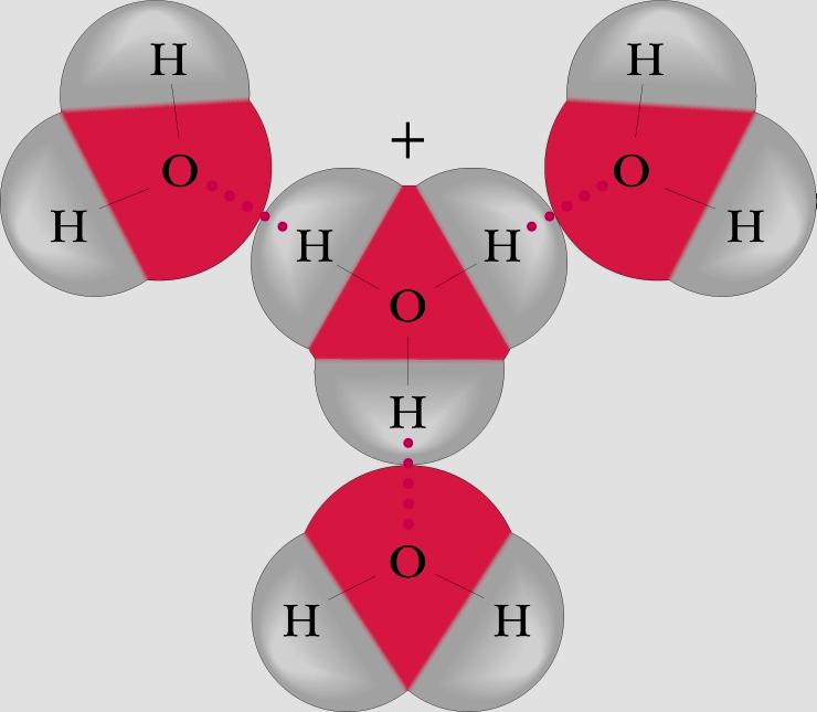 Invero, nemmeno lo ione idronio esiste in soluzione in quanto viene subito attorniato da altre molecole d acqua con la