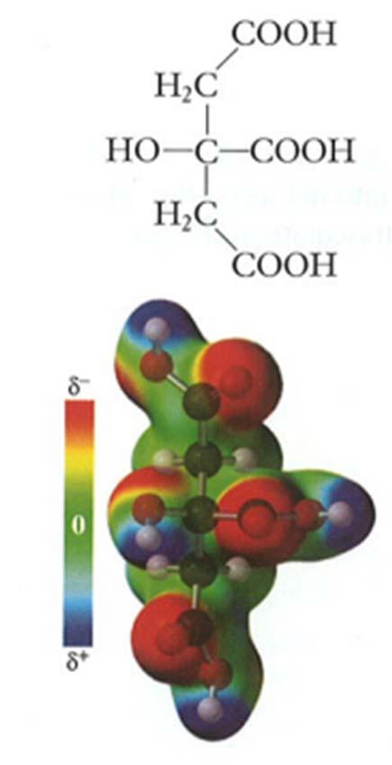 GLI ACIDI POLIPROTICI Acidi che possono fornire due o più protoni per molecola sono