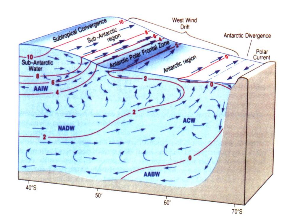 Dens) delle acque La corrente circumpolare impedisce alle acque calde di origine