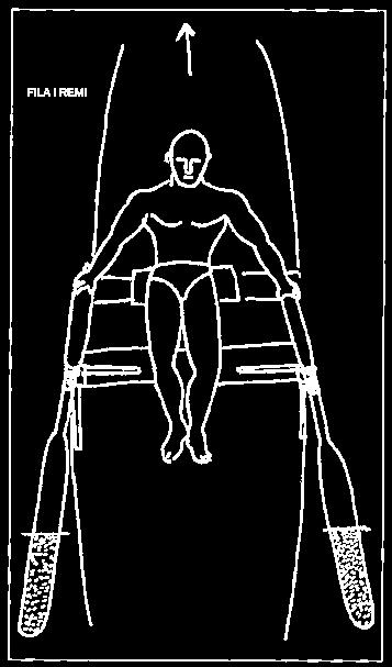 3. SCIARE IN COPPIA - Praticata da un solo vogatore per banco, all impiedi o seduto con la faccia rivolta a prua manovra contemporaneamente due remi. 4.