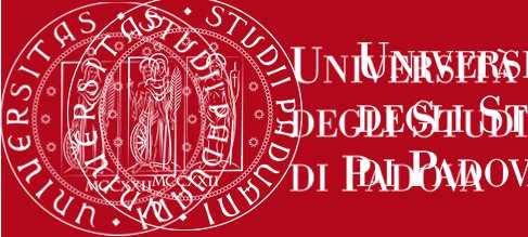 TIROCINIO la strategia per un primo contatto con il mondo del lavoro Possibili sedi in Italia e all Estero: Enti pubblici Aziende di produzione e