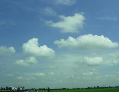 Si tratta dei cumulonembi (dal lati Cumuli no nimbus = nube piovosa) che a volte alla sommità assomigliano a un