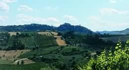 Colli di Rimini, DOC dal 1996, vitigni: Cabernet Sauvignon, Biancame, Rebola e