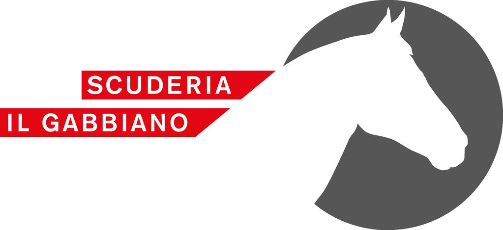 SCUDERIA AL GABBIANO A CAMORINO Contatto: Sibylle Della Cassina 076 334 02 95 10.00 Presentazione scuderia 11.