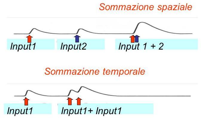 Sommazione spaziale e