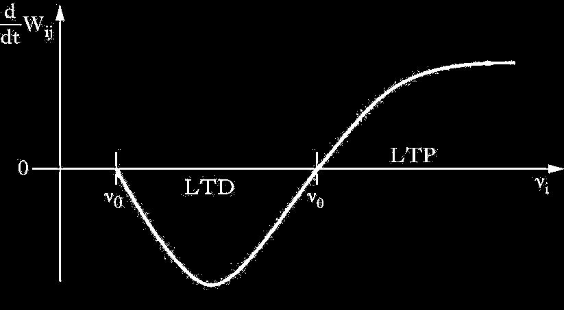 Plasticità a lungo termine: modello CLO (1978) Cooper-Liberman-Oja Quando un PA raggiunge un neurone che è depolarizzato al di sopra di un valore