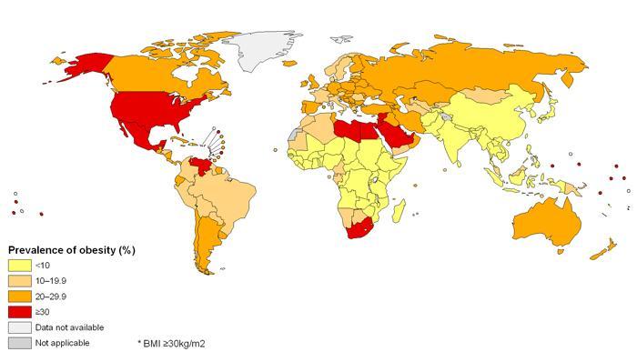 Globesity