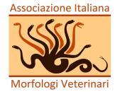 Segreteria Dipartimento di Scienze Medico-Veterinarie Sezione di Anatomia degli Animale di Interesse Medico Veterinario Via del Taglio, 10; 43126 Parma, Italy Tel.