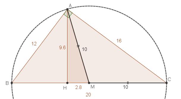 Teorema di Pitagora. Triangolo rettangolo. Livello INTERMEDIO. Eserciziario ragionato con soluzioni.