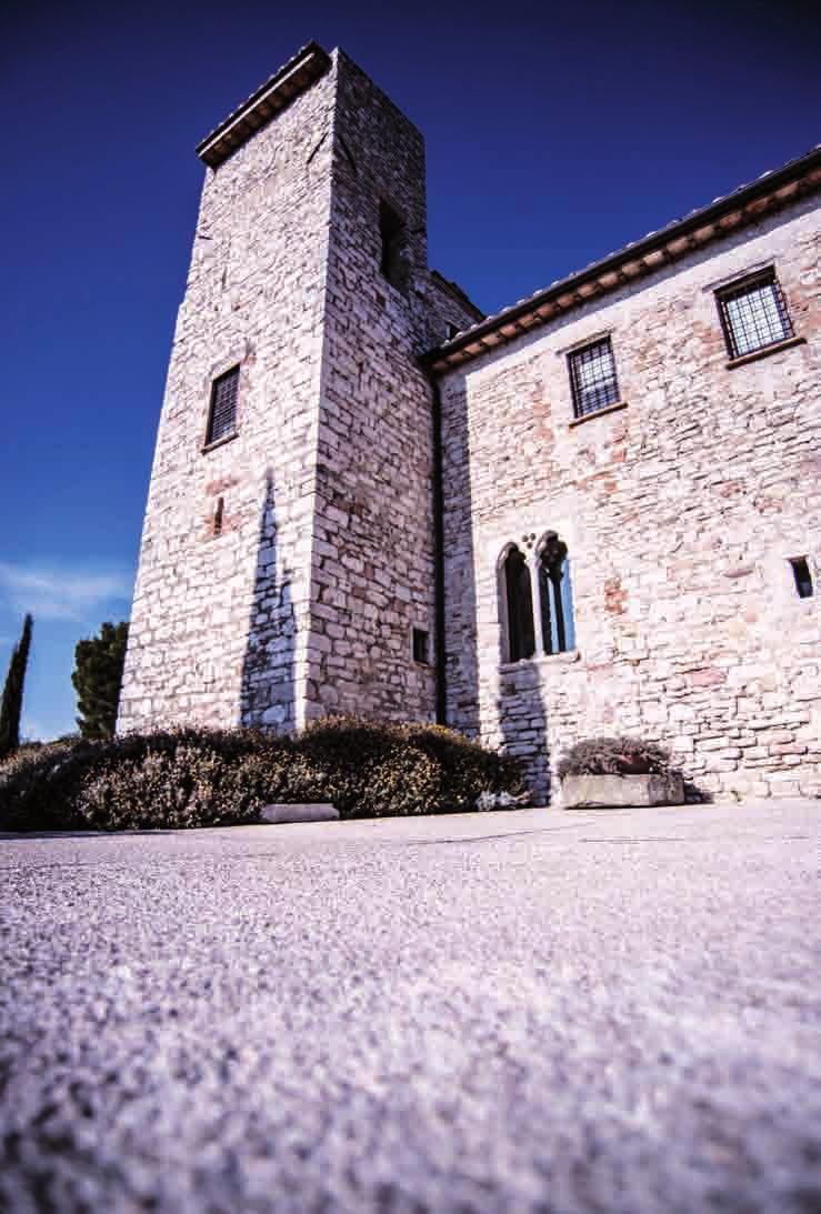 La facilità di posa premette di eseguire pavimenti in ghiaino lavato al prezzo più conveniente. Inoltre viene richiesto uno spessore di soli 3 centimetri.