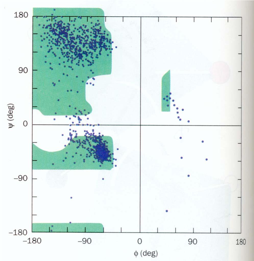 Plot di Ramachandran Plot di Ramachandran relativo ad un tripeptide costituito da Ala.