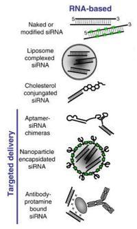 Varie strategie di veicolazione in vivo di farmaci basati su sirna sia veicolazione specifica che non specifica.