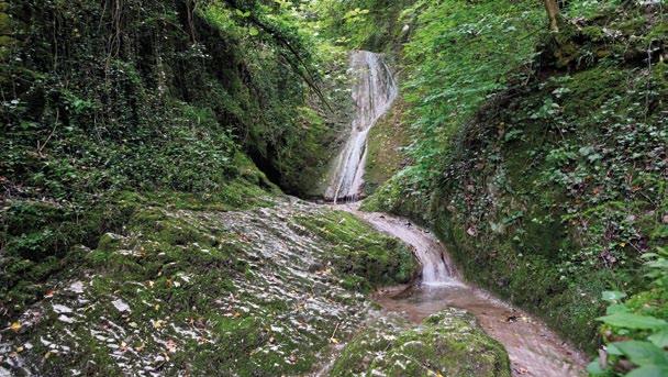 Canepa Polvere d acqua e rami lucenti di salice.