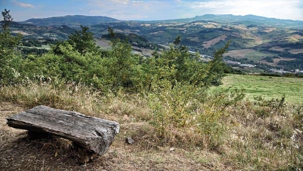 Monte Cerreto Agglomerati di pietre antiche.