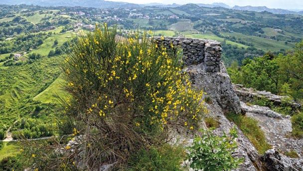 / Acqua raccolta nella cisterna / segni delle mani e