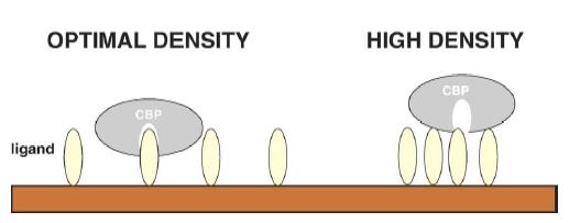 Uso di carboidrati in diagnostica: 1) micro-array di carboidrati (glico-arrays) Peculiarità nella sintesi: non è affidabile una on-bead synthesis; la preparazione dell array può avvenire per a)