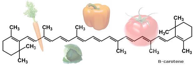 Qualità dei frutti Gli idrolizzati proteici promuovono l accumulo di proteine, zuccheri e antiossidanti nei frutti Meccanismi coinvolti