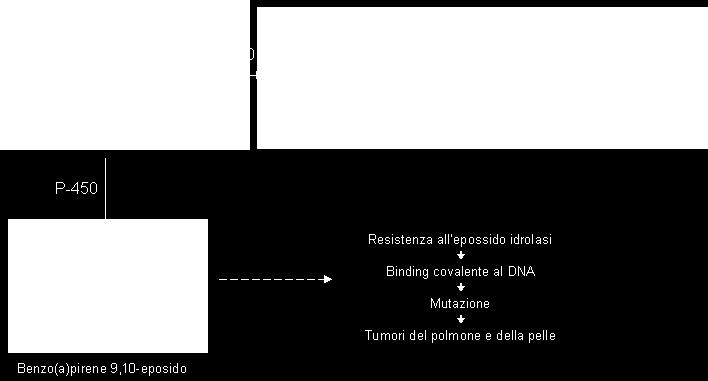 FASE I