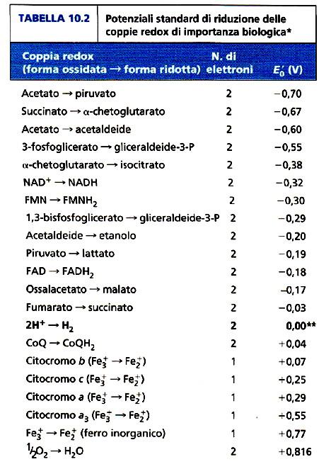 I protoni si muovono in modo insolitamente facile [1] Nonostante i protoni somiglino ad altri ioni positivi, quali Na + e K + nel loro movimento attraverso le membrane, in alcuni aspetti essi sono