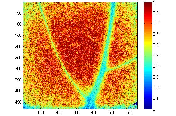 Le immagini elaborate con il software sono in falsi colori