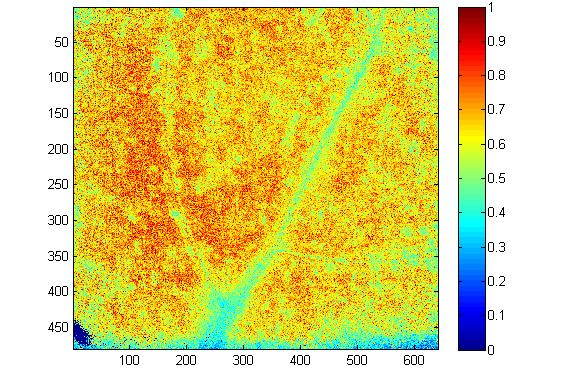 Tavola 5: Immagine del parametro NPQ a PAR 600 μmol m -2 s -1 di quattro foglie della pianta trattata con 500 ppm di Zn al tempo T1 nella colonna sinistra (sx) e al tempo T2