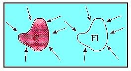 Applicazioni Legge di Archimede Ogni corpo immerso in un fluido riceve da questo una spinta dal basso verso l'alto pari al peso del volume di fluido spostato Prima del posizionamento del corpo: