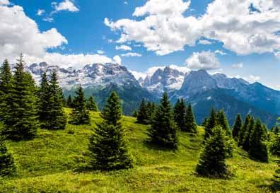 ore 5.30 Domenica 2 luglio Partenza visite naturalistiche (prenotazioni presso il punto informazioni entro sabato ore 12.00) ore 11.