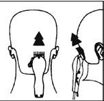 2. Fate sedere le persona a cui dovete tagliare I capelli in modo che la sua testa sia circa all altezza dei vostri occhi.