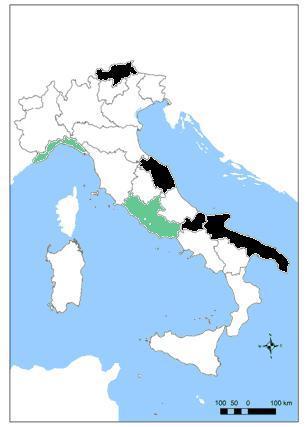 10.6 APPALTI VERDI PER AFFIDAMENTO DEL SERVIZIO DI RISTORAZIONE COLLETTIVA E DERRATE ALIMENTARI Sulla base dei dati acquisiti attraverso la rilevazione, è stata quantificata la percentuale del valore