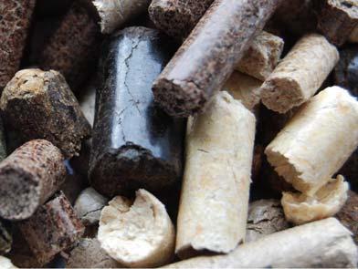 Fattibilità tecnica il mercato Principali forme della biomassa solida: Pellet: Biocombustibile densificato fatto da materiale