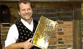 La selezione dell ape regina Cos è che rende possibile la selezione?