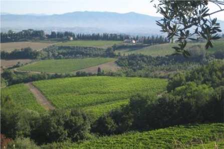 carrarecce: 62% Mulattiere e sentieri: 1% Ciclabilità: 99% Come arrivare al punto di partenza: Linea FS Firenze-Pisa-Livorno, stazione S.