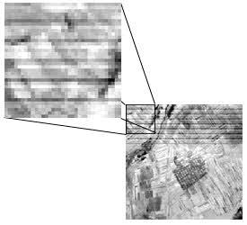 Equalizzazione della risposta del sensore Nei sistemi a scansione ottico - meccanica, ad ogni oscillazione dello specchio il singolo rivelatore regista una linea di pixel.