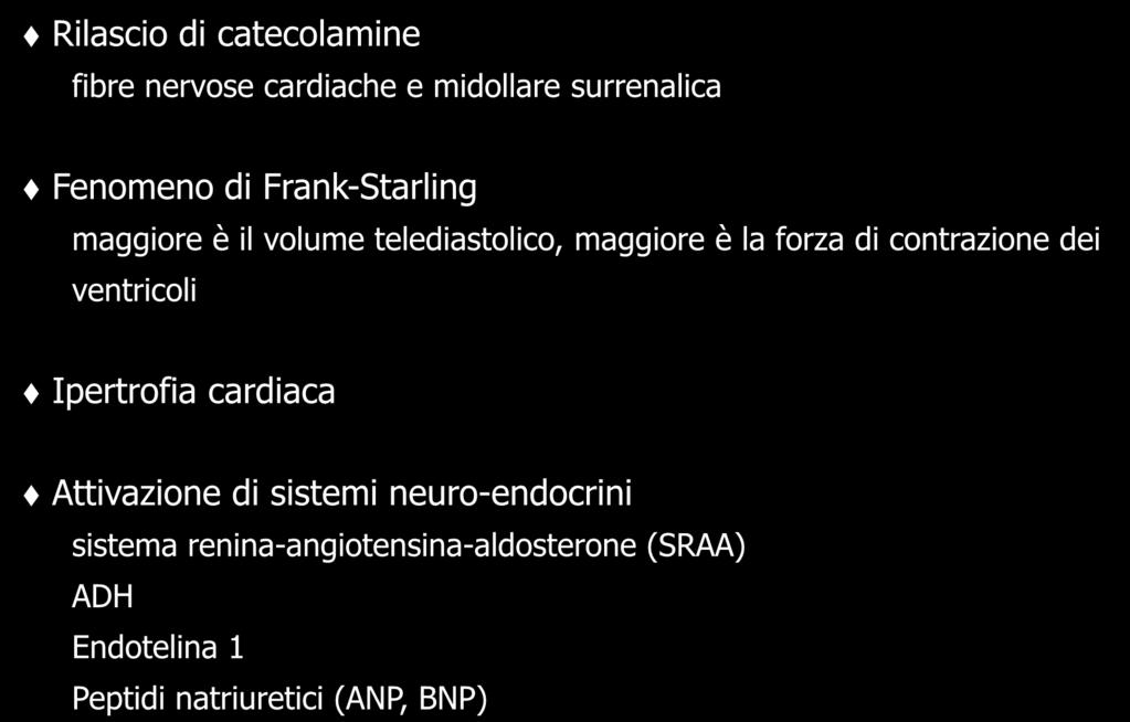 MECCANISMI DI COMPENSO CARDIACO Rilascio di catecolamine fibre nervose cardiache e midollare surrenalica Fenomeno di Frank-Starling maggiore è il volume telediastolico, maggiore è la