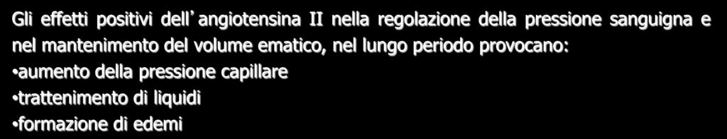 effetti positivi dell angiotensina II nella regolazione della pressione sanguigna e nel mantenimento del