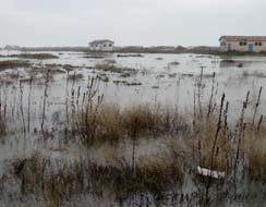 PRESSIONI Subsidenza lungo la costa Descrizione La subsidenza è un fenomeno di abbassamento del - la superficie terrestre che può essere determinato sia da cause naturali (tettonica, isostasia, com