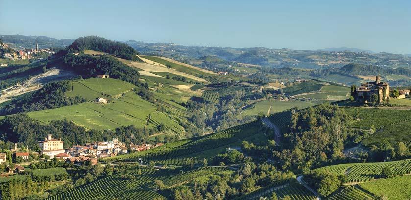 emonte, le Langhe, la natura feconda regala materie prime uniche e rare, tra cui la Nocciola Pi